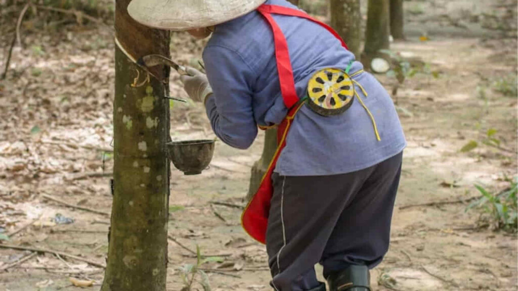 apa itu bantuan getah dan siapa yang layak menerimanya