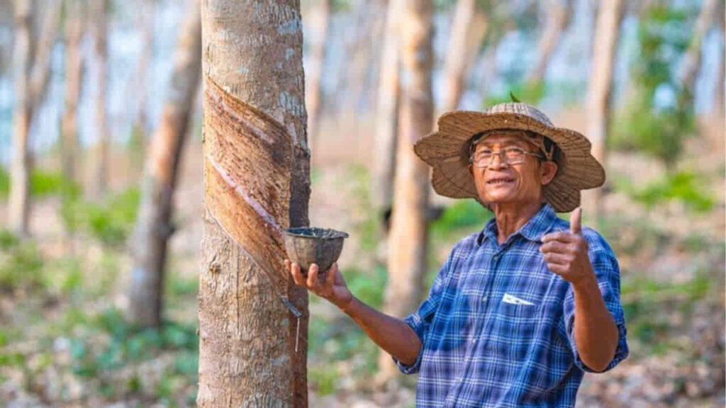 bantuan tanam semula risda