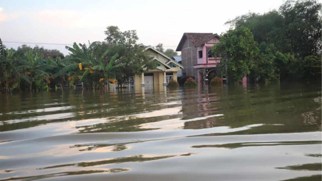 contoh bantuan bencana alam yang pernah dilaksanakan