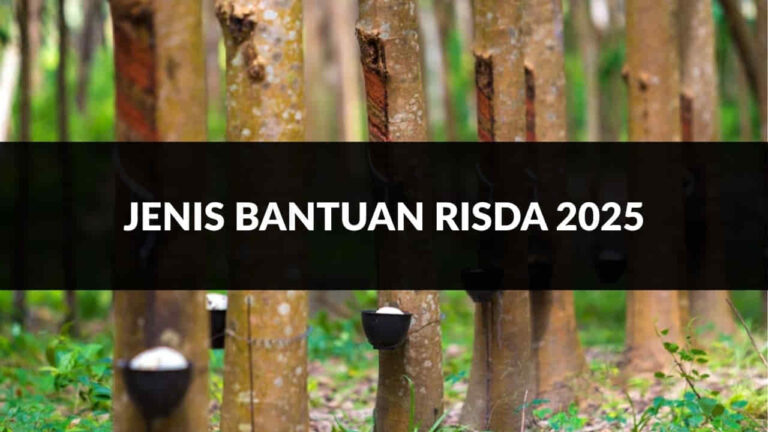 jenis bantuan risda 2025