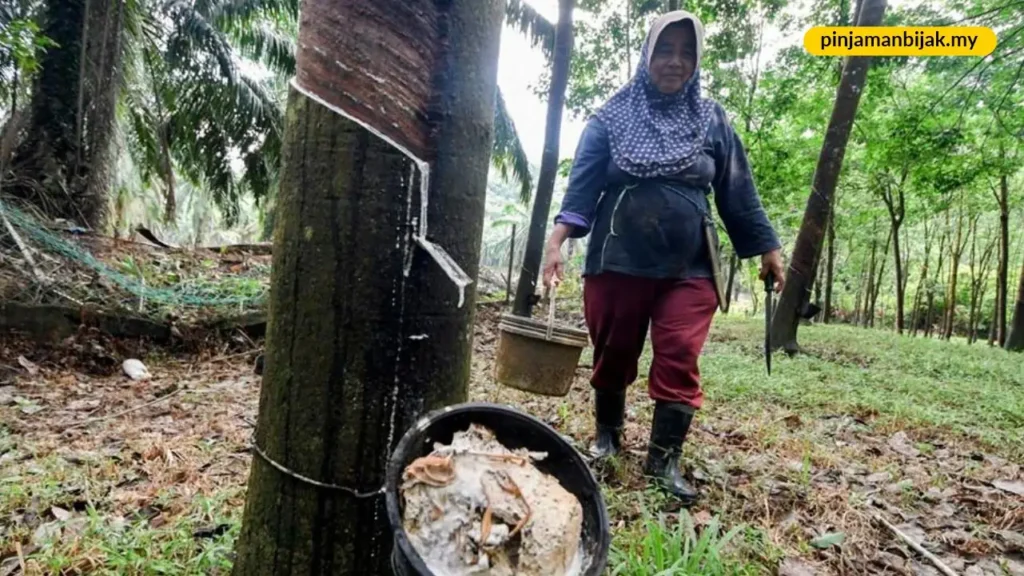 apa itu bantuan musim tengkujuh dan kenapa ia penting