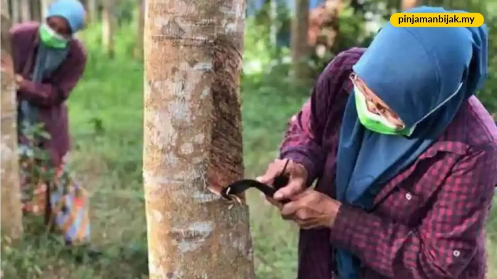 bila dan bagaimana bantuan musim tengkujuh dibayar