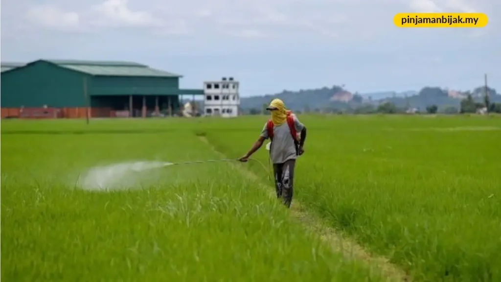 perbezaan antara bantuan 600 dan rm200 pesawah