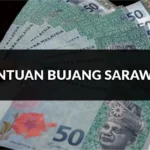 rahsia bantuan bujang sarawak & str, duit masuk bila