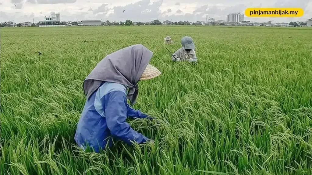 syarat kelayakan bantuan 600 pesawah