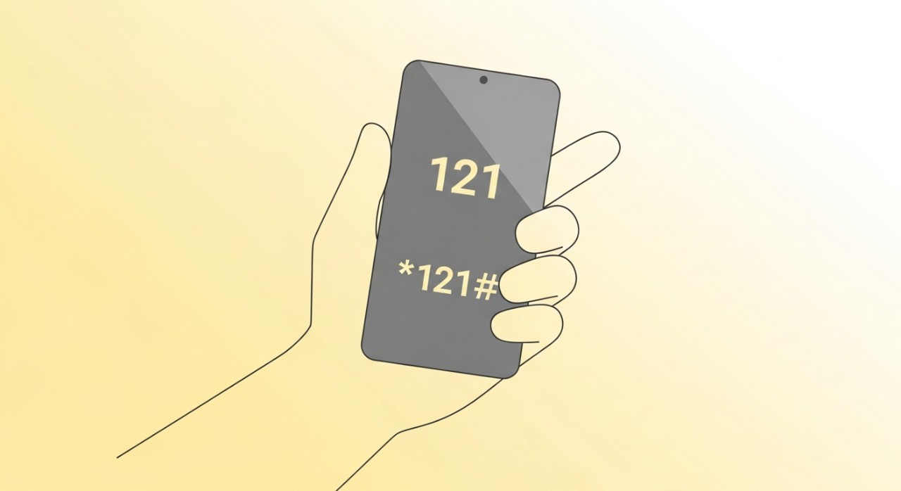 cara check baki digi